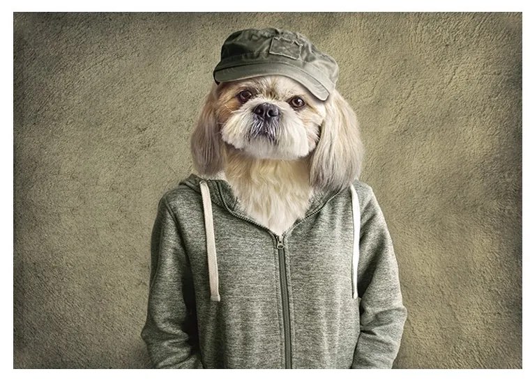 Zelená podlahová rohožka mr. Dog- 75 * 50 * 1cm Zelená podlahová rohožka mr. Dog- 75 * 50 * 1cm