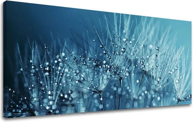 Obraz na stenu PANORÁMA KVETY KV085E13 - 30x60 cm