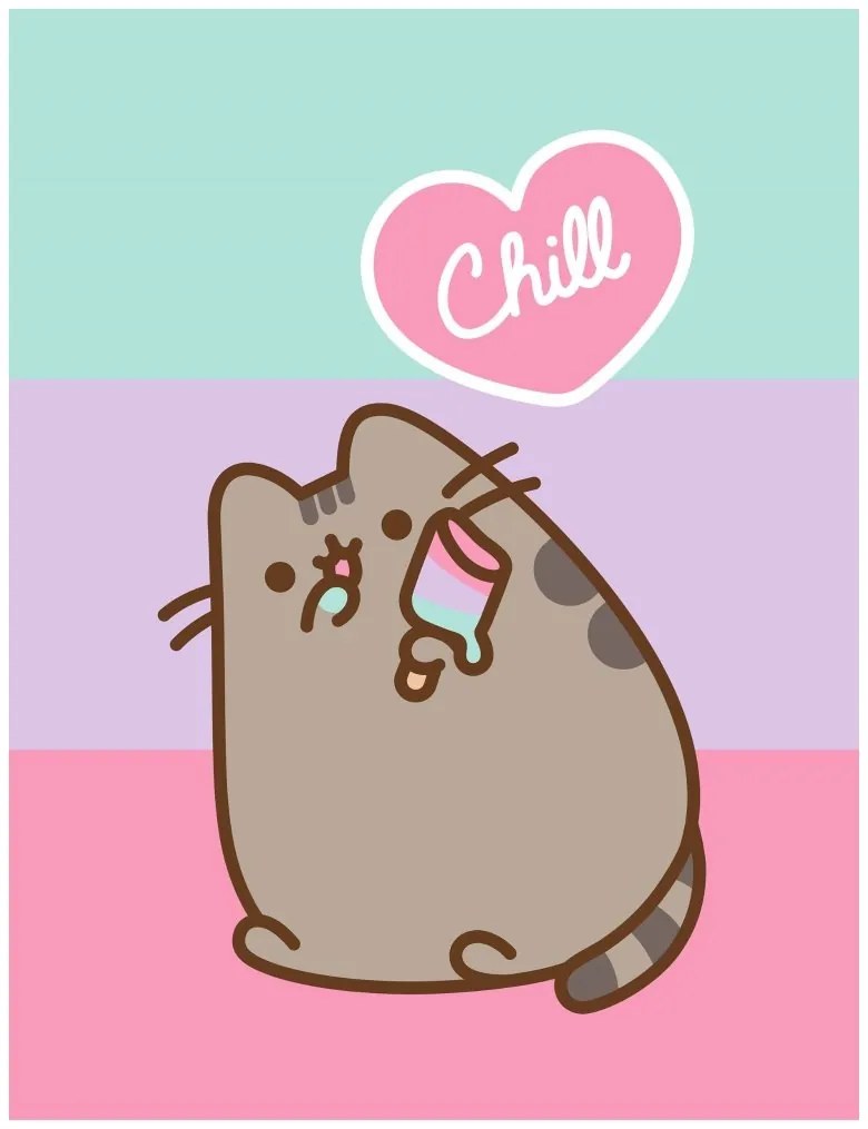 Coral fleece deka mačička Pusheen - motív Chill - 130 × 170 cm