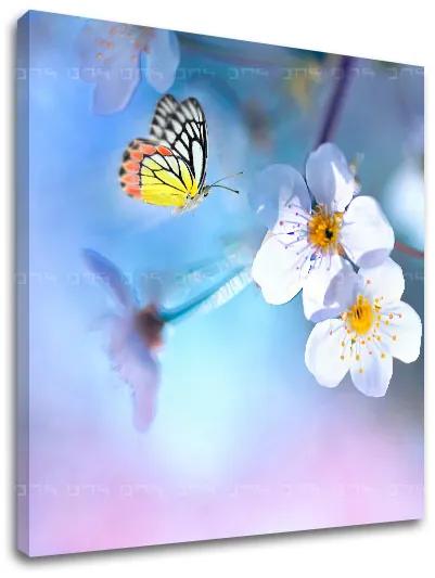 Obraz na stenu STROMY_035-12 | rôzne rozmery