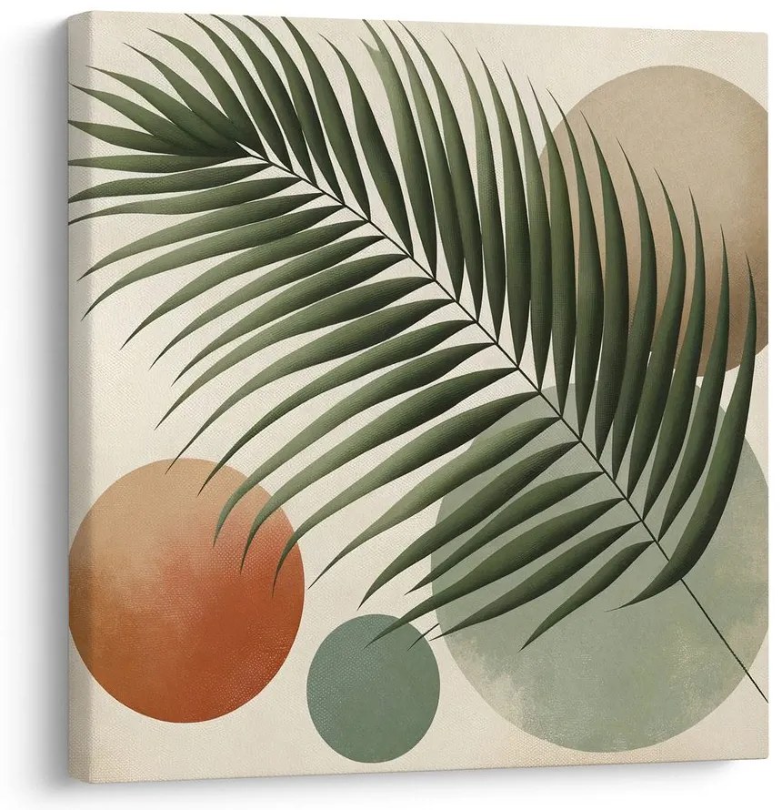 Obraz tropický list v kruhoch