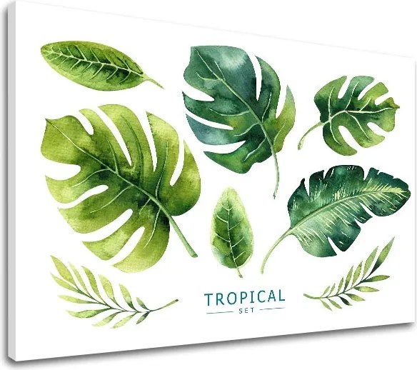 Obraz na stenu s textom Tropical set