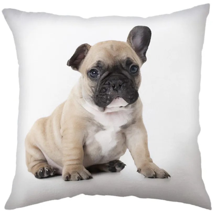 Jerry Fabrics Detský vankúšik s potlačou - Bulldog | 40 x 40 cm