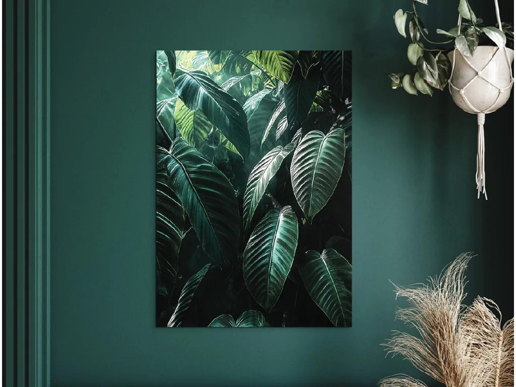 drevko | Obraz Tropické zelené listy