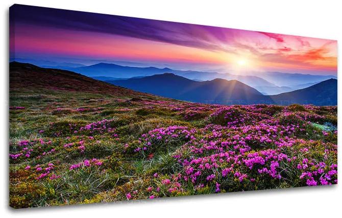 Obraz na stenu PANORÁMA KRAJINA | rôzne rozmery