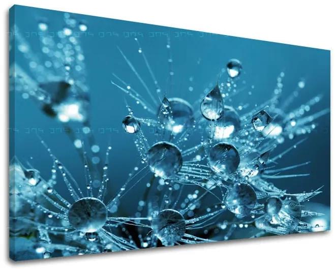 Obraz na stenu KVETY | rôzne rozmery