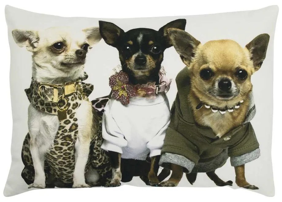 Plátený vankúš Čivavy - 50 * 10 * 35cm Plátený vankúš Čivavy - 50 * 10 * 35cm