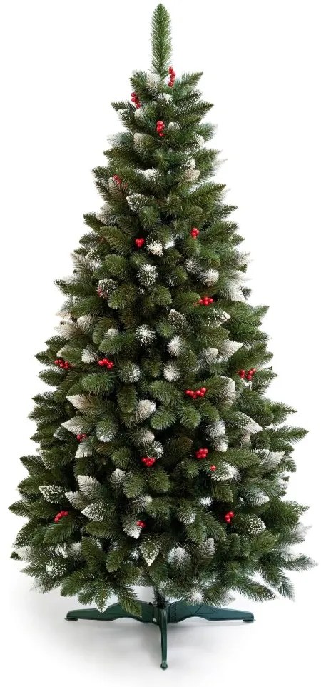 Limpol Borovica Iza s červenými bobuľami 2,20 m