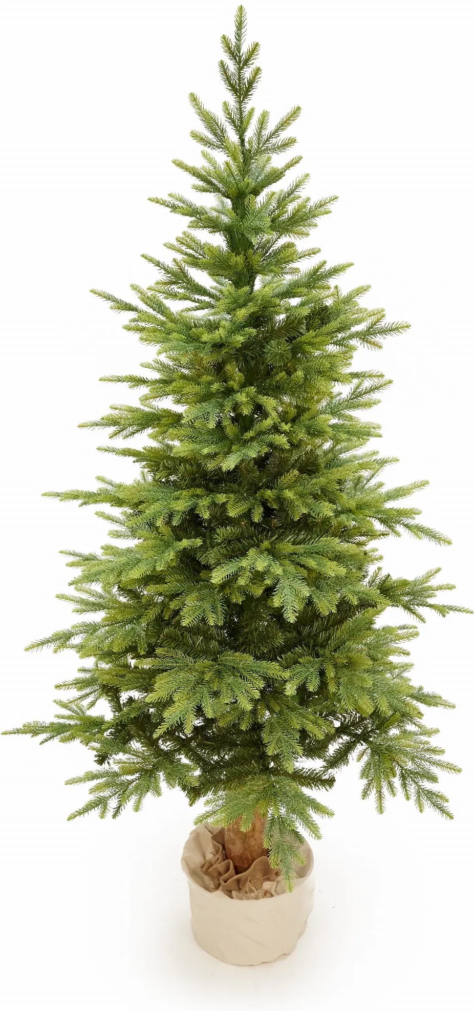 Smrek Bavorský na pni 3D- 220cm