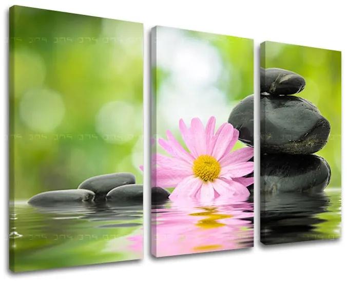 Obraz na stenu FENG SHUI | rôzne rozmery