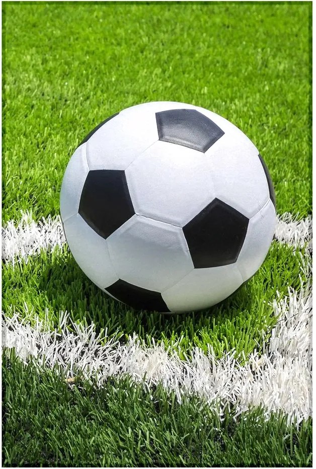 Jerry Fabrics Fleecová deka s motívom Futbal - 100 x 150 cm