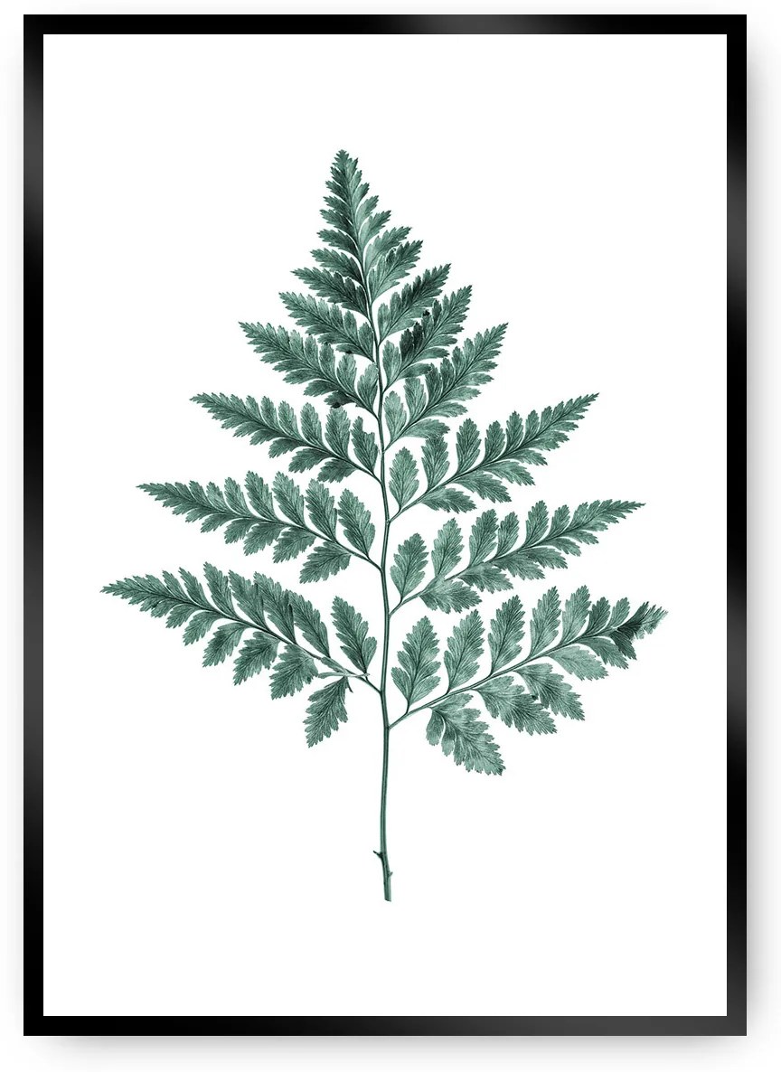 Plagát Fern 21 x 30 cm Emerald Green