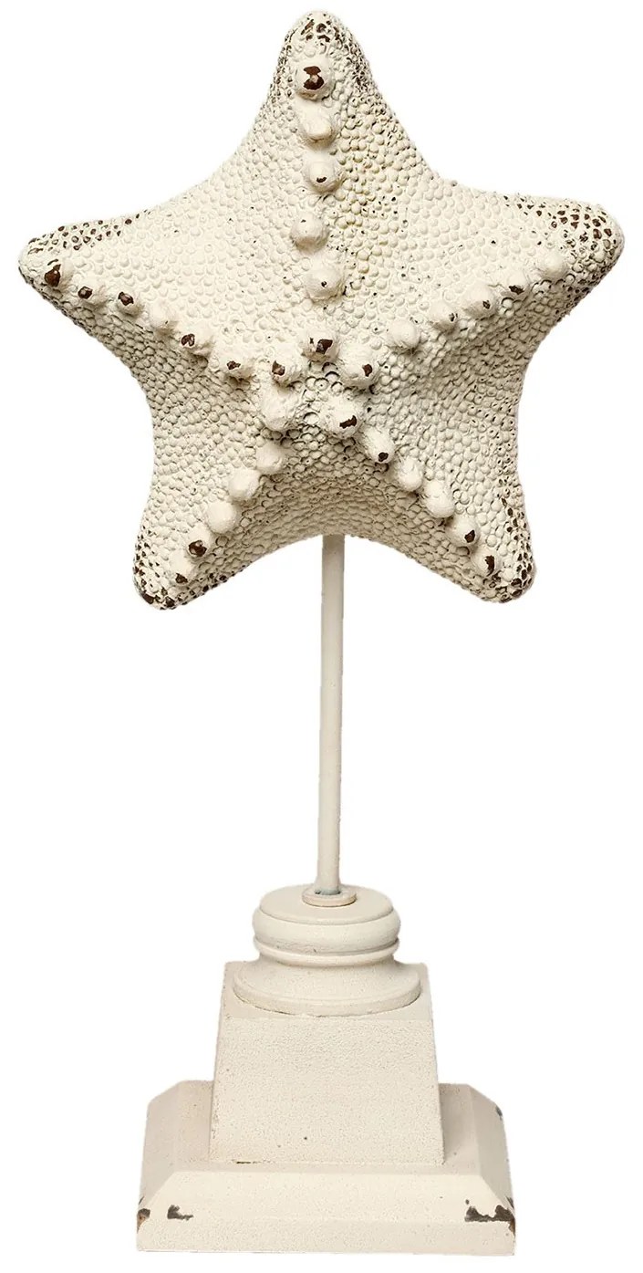 Dekorácie morská hviezdica - 15 * 9 * 32 cm Dekorácie morská hviezdica - 15 * 9 * 32 cm