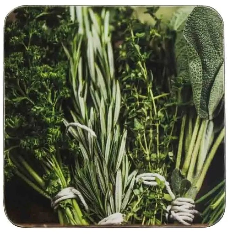 6ks pevné korkové podtácky bylinky Herbs - 10*10*0,4cm