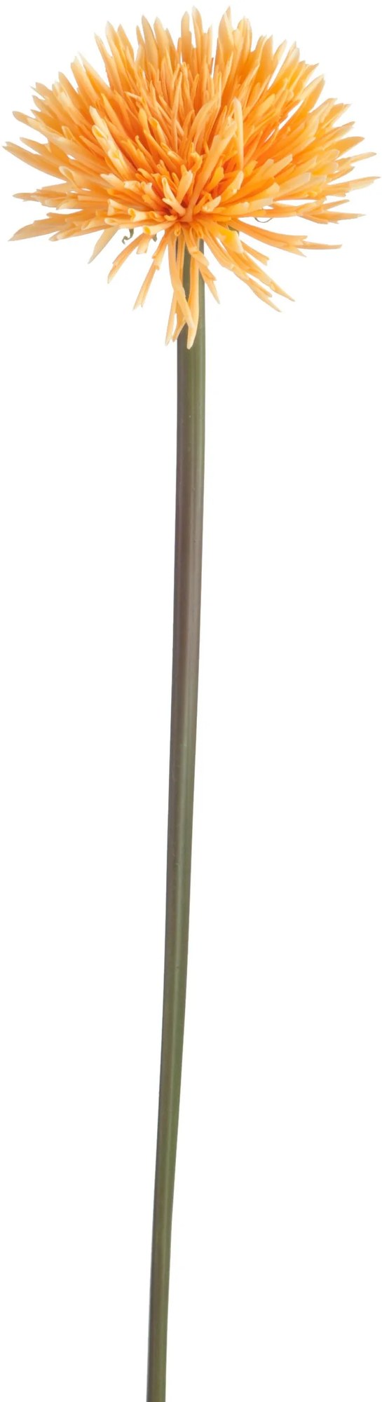 Umelá dekoratívne kvetina Púpava - 10 * 10 * 68 cm