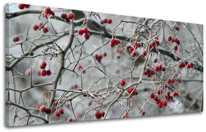 Obraz na stenu PANORÁMA STROMY | rôzne rozmery