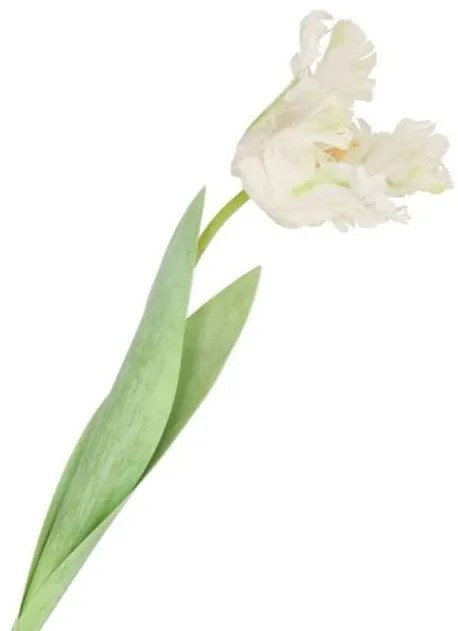 Biely tulipán Silk Tulip White - 64 cm