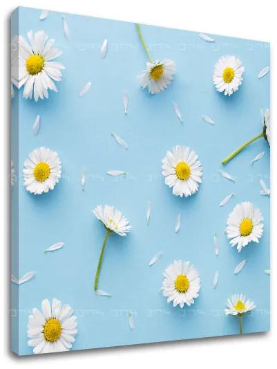 Obraz na stenu BIELE KVETY_163-12 | rôzne rozmery