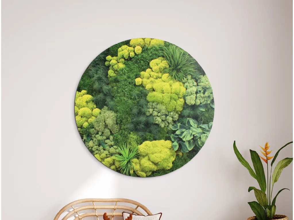 drevko | Okrúhly machový obraz Zeleň (UV tlač) 45 x 45 cm