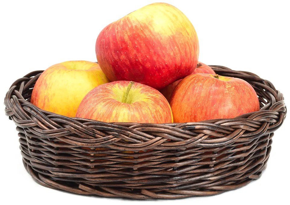 Prútený košík Joy VIpriemer 23 x v. 6,(cm)