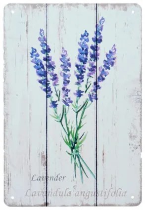 Ceduľa plechová 20x30 MP20