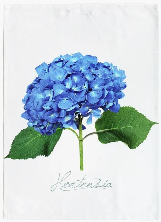 Keprová utierka HORTENZIA MODRÁ 50 x 71 cm