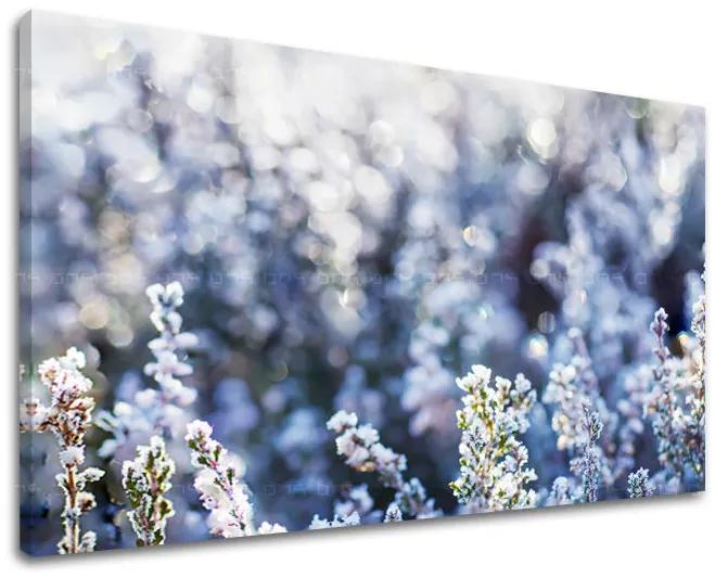 Obraz na stenu KVETY | rôzne rozmery