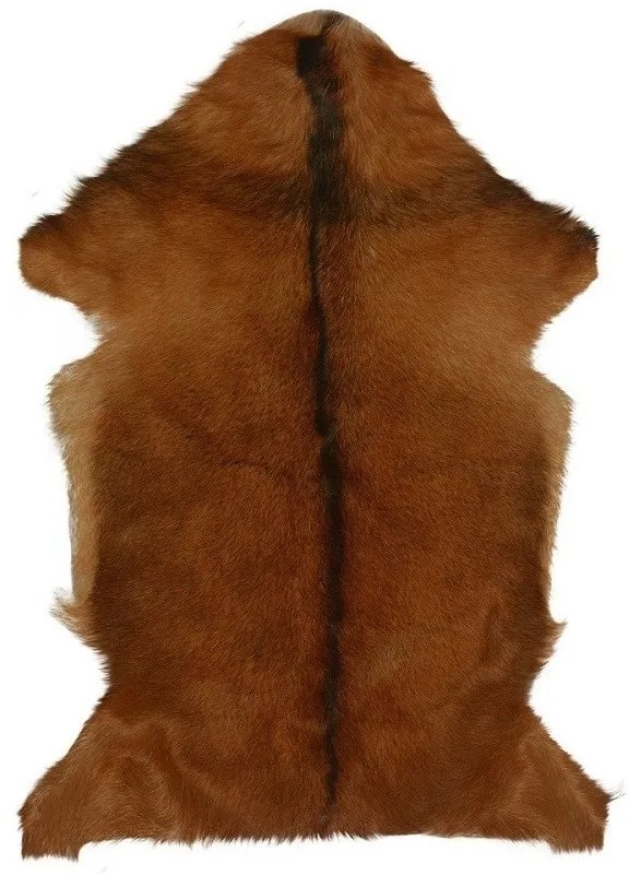 Hnedá dekoratívne kožušina z kozej kože - 60 * 90 * 2cm