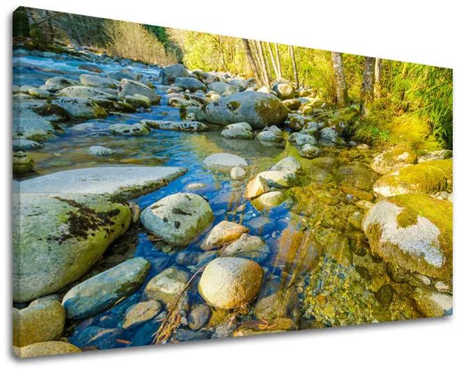 Obraz na stenu KRAJINA | rôzne rozmery