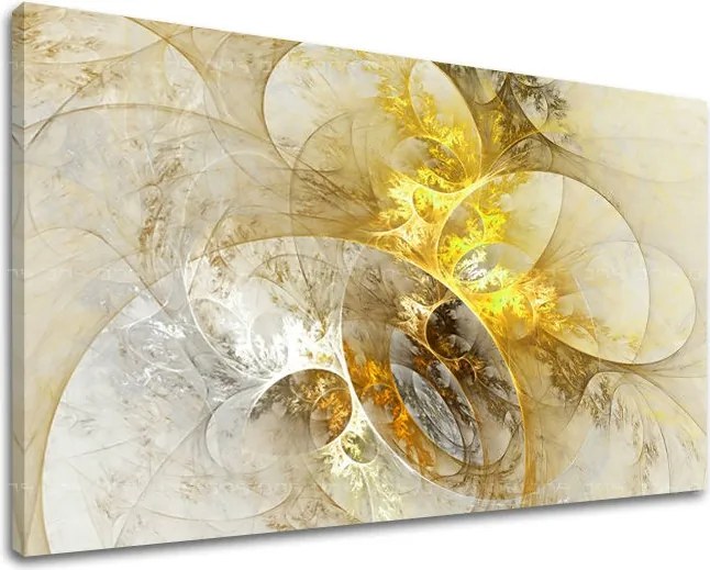 Obraz na stenu ABSTRAKT AB039E11