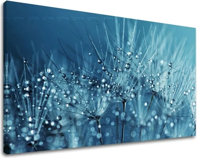 Obraz na stenu KVETY KV085E11 - 100x150 cm