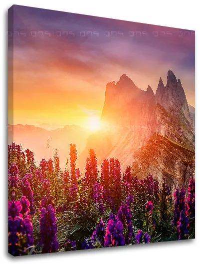 Obraz na stenu HORY_060-12 | rôzne rozmery