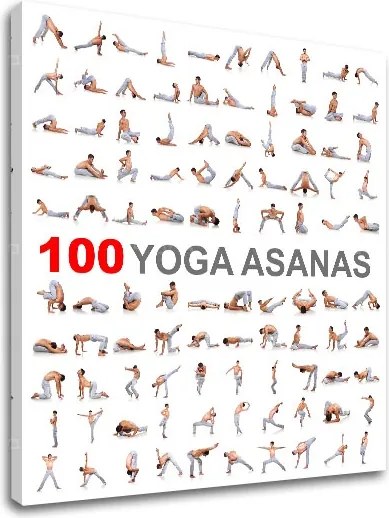 Motivačný obraz na stenu 100 Yoga asanas
