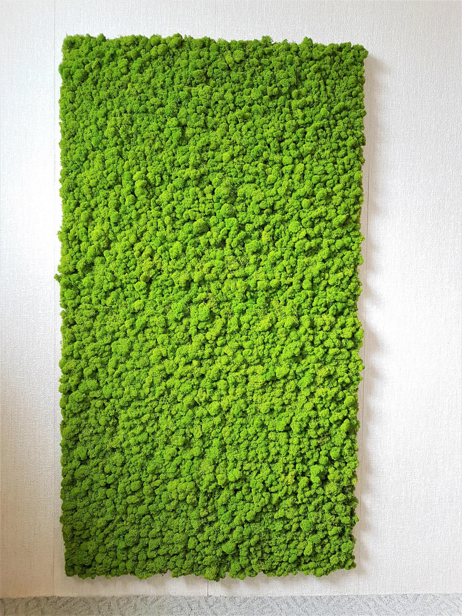 Machový panel 180cm x 100cm