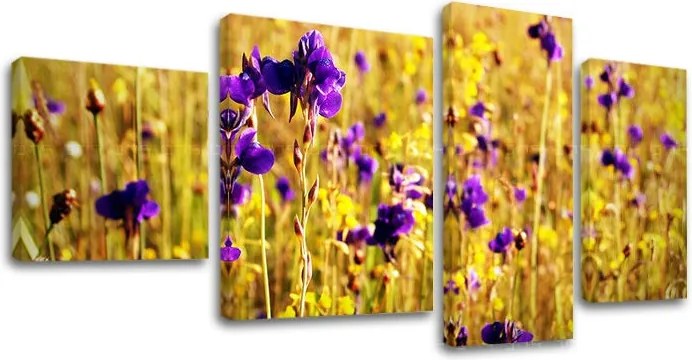 Obraz na stenu 4 dielny KVETY KV088E40 - 130x70 cm