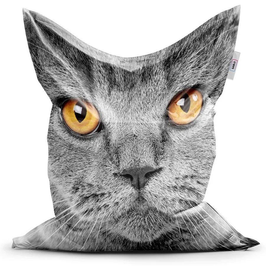 Sedací vak Classic mačací pohľad - detský, sivá