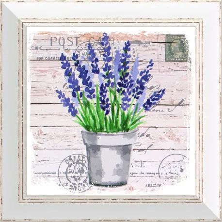 Rámovaný obraz 30x30cm FAP505