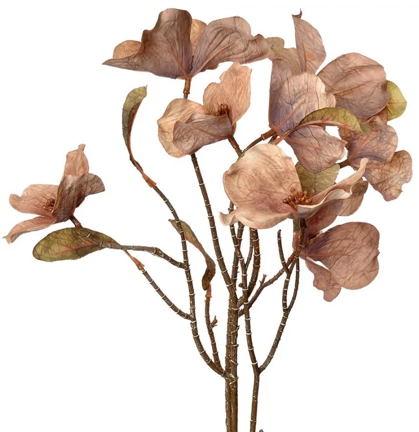 Artificial Flower 72 Cm Beige Plastic - 12*8*72 cm