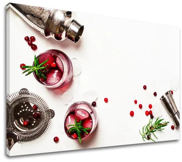 Obraz na stenu LETNÝ DRINK_066-11 | rôzne rozmery