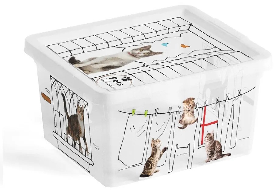KIS C Box Style Pets Collection XXS 2l