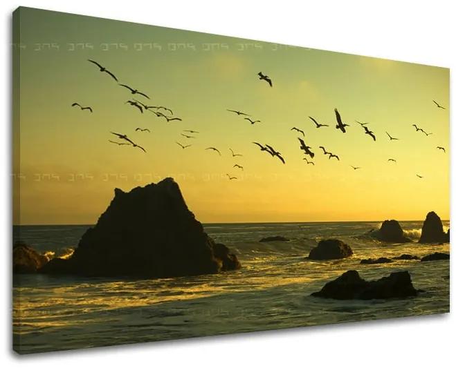 Obraz na stenu ZÁPAD SLNKA | rôzne rozmery