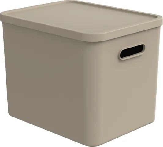 Rotho Úložný box, rovný s vekom, 27l, béžová ALBU LIGHT, 37x29x30