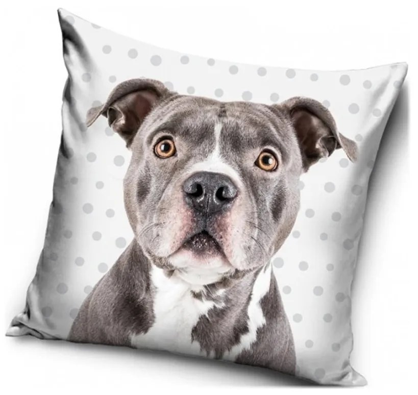 Vankúš s Pitbullteriérom - 40 x 40 cm