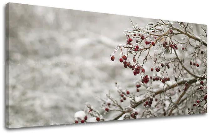 Obraz na stenu PANORÁMA STROMY | rôzne rozmery