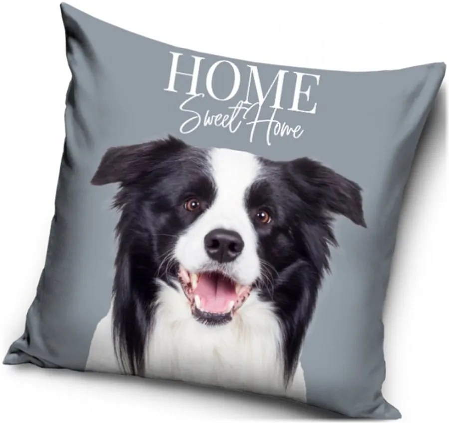 Dekoračný vankúš Šteňa Border kólie - 40 x 40 cm