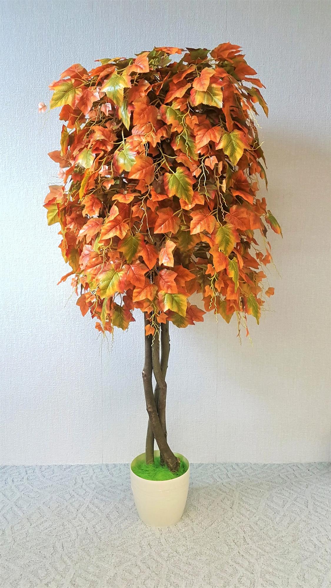 Hrozno jesenné klasik 160 cm