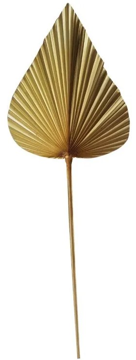 Hnedý usušený špicatý dekoratívne list Palmy - 40 cm