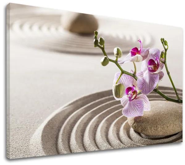 Obraz na plátne FENG SHUI_051-11 | rôzne rozmery