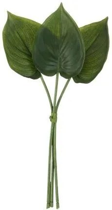 3 okrasné listy Philodendron - 30cm