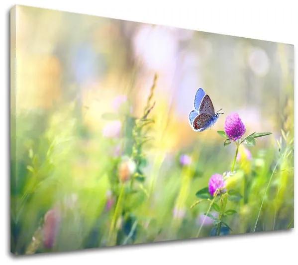 Obraz na stenu FAREBNÉ KVETY_161-11 | rôzne rozmery